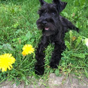 Meet your Posher, Marie-josée